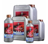 Hesi - Boost 2,5L