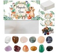 Hestya 24 Pezzi Set di Pietre Portafortuna per Bambini Pietre Magiche Preziose Pietra Naturale Regali Bomboniere per Compleanno Calendario dell'Avvento Scuola (Animali Foresta)