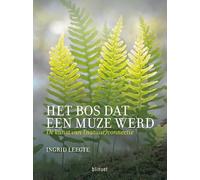 Het bos dat een muze werd: De kunst van (natuur)connectie