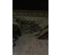 het meisje dat kerst vierd: in wonderland