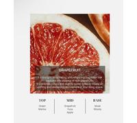 HETRAS Diffusore Premium 500 ml + 500 ml diffusore di olio profumato e baston...