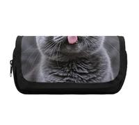 HETVBNS Astuccio con gatto blu che sporge la lingua, extra large, astuccio a doppio strato con cerniera, borsa portatile per cosmetici per viaggi, organizer per cancelleria da ufficio per donne e