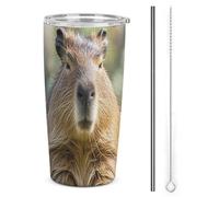 HETVBNS Bicchiere da caffè in acciaio inox da 590 ml, con cannuccia e coperchio, a forma di capibara con occhi chiusi, tazza da caffè isolata sottovuoto, a prova di perdite, tazza da viaggio per auto