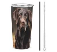HETVBNS Bicchiere in acciaio inox da 590 ml, con cannuccia e coperchio, con labrador retriever, tazza da caffè isolata sottovuoto, a prova di perdite, tazza da viaggio per auto