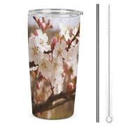 HETVBNS Bicchiere in acciaio inox da 590 ml, con cannuccia e coperchio, tazza da caffè isolata sottovuoto, a tenuta stagna, per auto