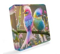 HETVBNS Federa impermeabile per divano e animali domestici, colorata, con uccellini, lavabile, resistente ai raggi UV e alle intemperie, per mobili da patio, 64 x 64 x 10 cm