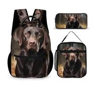 HETVBNS Set di 3 zaini con labrador retriever, zaino resistente e isolato, borsa per il pranzo, astuccio portatile per uomini e donne