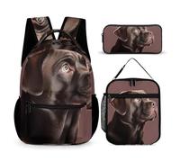 HETVBNS Set di 3 zaini per cani, zaino resistente e isolato, borsa per il pranzo, astuccio portatile per uomini e donne