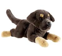 Heunec & Co.KG Puppy Labrador sdraiato