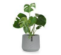 Heusden, vaso per piante, polystone, delicato sulle piante, realizzato a mano