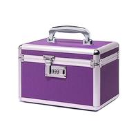 HEWEI WORKS Scatola di stoccaggio con lucchetto a combinazione, casa per medicinali bloccabile, scatola di pronto soccorso vuota, scatola di sicurezza (Purple, Small)