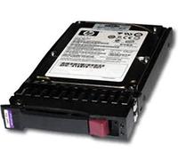 Hewlett Packard Enterprise HPE Entry - Festplatte - 160GB - Hot-Swap - 3.5" (8,9 cm) - SATA 3Gb/s - 7200 U/min (458945-B21)