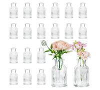 Hewory Mini Vaso in Vetro per Matrimonio: Set 20 Pezzi Decorativi da Interno - Centrotavola per Bomboniere, Cresima, Casa, Wedding