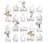 Hewory Mni Vase Transparent Verre: 20pièces Vase Decoratif Design Petit Vase Soliflore Verre, Clair Petit Vase en Verre Vase Fleur Fiole en Verre, Mini Vase Deco Table pour Decoration Mariage Maison