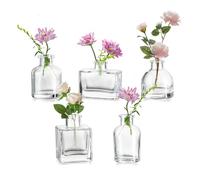 Hewory Vasi in vetro per fiori: 3 cm (larghezza) x 6 cm (altezza), mini vasi in vetro trasparente per decorazione della tavola - 5 mini vasi assortiti per matrimoni, centrotavola, soggiorno