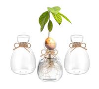 Hewory Vaso Decorativo da Interno Moderni - 3 Terrario Piante Vaso Qvocado Vaso per Idrocoltura in Vetro Idee Regalo Donna - Idroponica Vaso per Piante Da Interno Vasetti in Vetro per Arredamento Casa