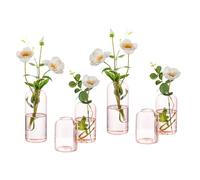 Hewory - Vaso piccolo rosa a forma di bocciolo, 6 pezzi, trasparente, cilindrico, in vetro, per fiori, set di vasi moderni a stelo singolo