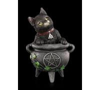 Hexen Gatti Figura - Sfumino - Nemesis Now Nero Bollitore Stregoneria