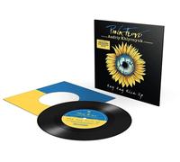 HEY HEY RISE UP (Vinyl LP)