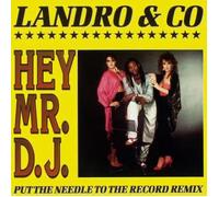 Hey mr. dj (Put the needle on the record Remix, 1989) / Vinyl Maxi Single [Vinyl 12'']