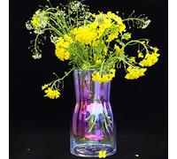Hey_you, vaso in vetro trasparente, con design Ins, vaso decorativo per fiori e piante, per casa, ufficio, regalo per matrimoni, feste di inaugurazione della casa