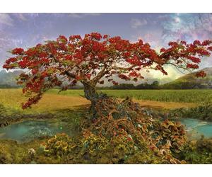 Heye - Puzzle Andy Thomas: albero di stronzio - 1000 Pezzi