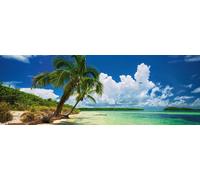 Puzzle 2000 pezzi - Palme paradisiache