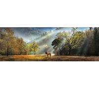Heye - Puzzle Panorama di saluto mattutino - 1000 Pezzi