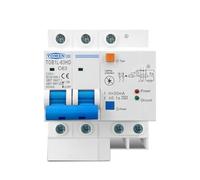 HEZHANG Interruttore Magnetotermico Interruttore Principale, Interruttore differenziale con Protezione da sovratensione, RCBO, MCB Contro i fulmini SPD(25A)