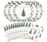 HFBOBP 20 piatti e tovaglioli di carta natalizi, 22,9 cm, piatti e tovaglioli per feste di Natale (Xmas)