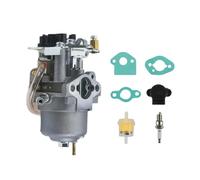 HFDT5GHC Generatore Invertitore Carbureto P16D1 Compatibile con Chami 73531i 1600 2000 Predato 2000/1600 IPowr SUA2000/2300i 7980cc(P16D-1 Kit)