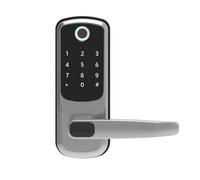 HFIGNIAHQ Electronic Smart Door Lock With Biometric Fingerprint/Password/Smart Card/Key Unlock/USB Emergency Charger(Silver)