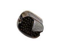 HFMXZHI Luce Freno Moto Fanale Posteriore per Moto, Luci di Stop, Indicatori di Direzione, Targa, per Harley, per Davidson, Sportster XL1200C, per Custom (EFI) 2007-2010
