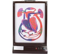 HGAYUBDV Modello Elettrico di Battito Cardiaco e circolazione sanguigna, Modello didattico di Anatomia Umana dinamica 3D con Luce LED, velocità Regolabile, for l'apprendimento in Classe di scienze.