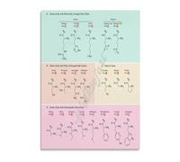 HGETJOHXEM Amino Codon Chart Genetic Code Poster Biology Educational Wall-Art for Classroom Study Room(Unframed,16x24inch(40x60cm))