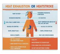HGETJOHXEM Avoid Heat Stroke Poster Heat Illness Symptoms First Aid Home Decor Print(Unframed,12x18inch(30x45cm))