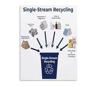 HGETJOHXEM Educational Wall-Art Single Stream Recycling Guide Poster Canvas for Sustainability Classroom Office(Unframed,08x12inch(20x30cm))