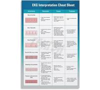 HGETJOHXEM EKG Waveform and Heart Activity Educational Chart Canvas Wall-Art for Classroom or Office Decor(Framed,16x24inch(40x60cm))