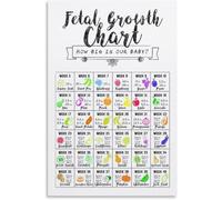 HGETJOHXEM How Big Is Our Fetal Growth Chart Poster Pregnancy Weekly Nursery Decor Bump Wall-Art for Mom(Unframed,16x24inch(40x60cm))