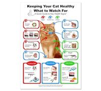 HGETJOHXEM Keeping Your Cat Healthy Chart Veterinary Reference Feline Anatomy Poster Cat Care Guide Educational Wall-Art for Pet Owners(Framed,16x24inch(40x60cm))
