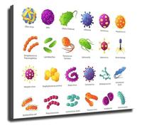 HGETJOHXEM Microbial and Bacteria Types Educational Chart for Science Classroom and Modern Living Room Wall Decor(Unframed,16x24inch(40x60cm))