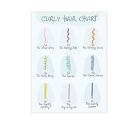 HGETJOHXEM Professional Curly Hair Chart Hair Typing System and Pattern Guide Canvas Wall-Art for Barber Shop or Beauty School Decor(Unframed,16x24inch(40x60cm))