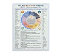 HGETJOHXEM Sleep Cycle Infographic Canvas Poster Wall-Art Circadian Rhythm Body Clock Chart Science Print for Restful Bedroom Decor(Unframed,12x18inch(30x45cm))
