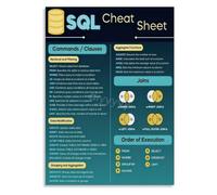 HGETJOHXEM SQL Injection Prevention Cheat Sheet Poster Secure Query Writing Guide Wall-Art for Cybersecurity Team Office Decor(Framed,16x24inch(40x60cm))