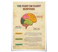HGETJOHXEM Trauma Informed Brain Poster, Neuroscience Art Explaining Fight or Flight Response for Mental Health Awareness, Therapy Office Calming Decor(Unframed,16x24inch(40x60cm))