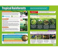 HGETJOHXEM Tropical Rainforests Deforestation Poster, Geography Classroom Decor on Causes Effects and Conservation for Environmental Science Teachers(Framed,12x18inch(30x45cm))