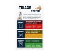 HGETJOHXEM Veterinary Clinic Educational Poster Pet Emergency Care Triage Chart First Aid Reference Guide For Animal Training Facility Pet Owners(Unframed,16x24inch(40x60cm))