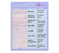 HGETJOHXEM Veterinary ECG Reference Art Print For Animal Hospital Decor And Animal Lover Home Office Wall Canvas(Unframed,08x12inch(20x30cm))