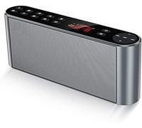 HGJHJJHK Altoparlante Portatile Wireless, Altoparlante Bluetooth, Doppio Driver MP3 Lettore FM Radio Stereo con Suono HD, Microfono Integrato, Audio ad Alta Definizione, Argento