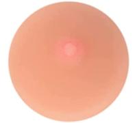 HGJHJJHK Modello di Simulazione del Seno in Silicone - Modello mammario Femminile Umano - per insegnare Massaggio alla prolattina e Allattamento al Seno, Dimensioni della Vita, costruttivo23